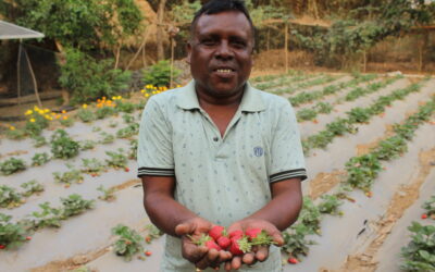 Baiju Hembram: Cultivating Sustainability through FPOs – A Triumph of Community-Led Agriculture in Jharkhand