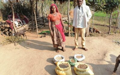 Transforming Lives: Tribal Women Embrace Millets Cultivation