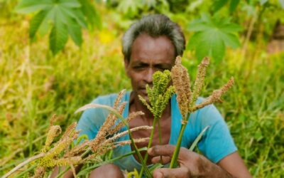 Ragi – Bringing Colors of Happiness to Farmers’ Lives